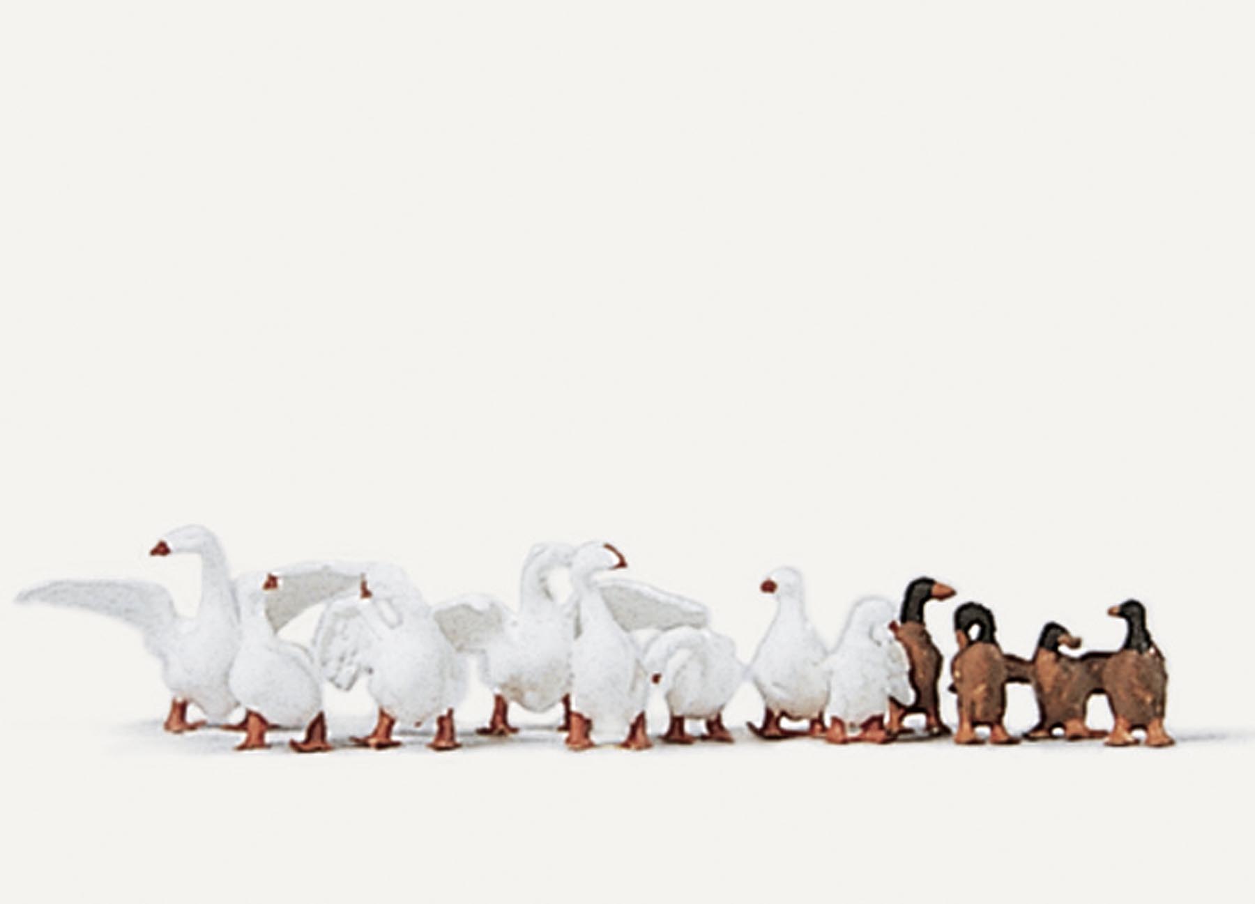 Gänse und Enten an Land Modell von Merten 1:87