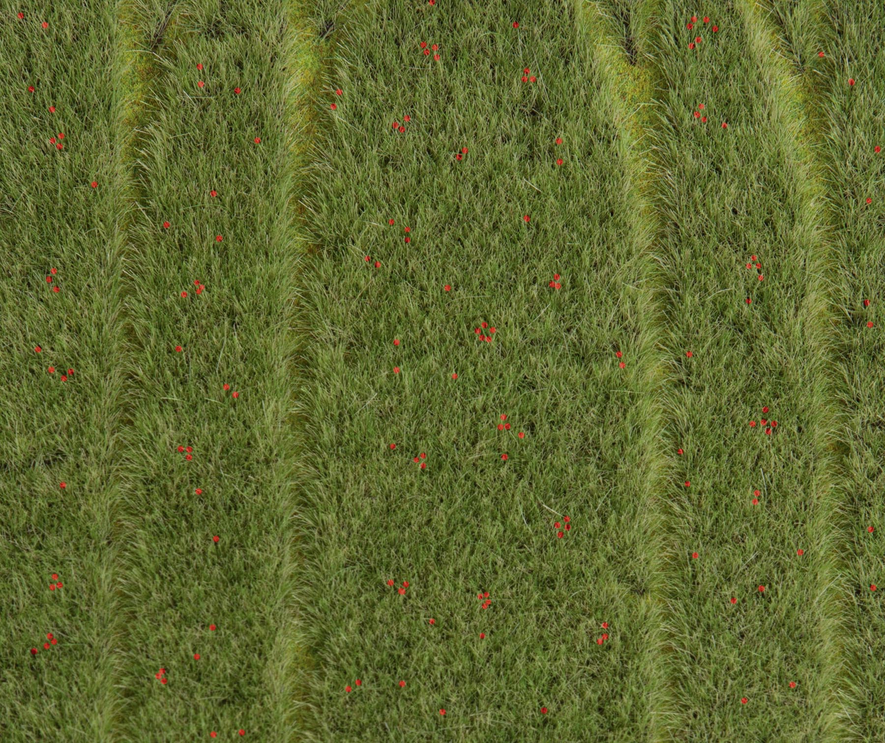 Getreidefeld mit Mohnblumen Modell von Gebr. Faller 1:87