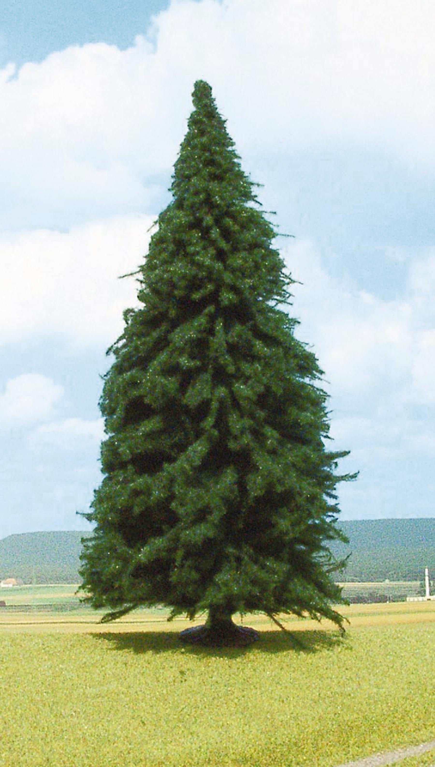 1 Tanne 35 cm von HEKI 1:87