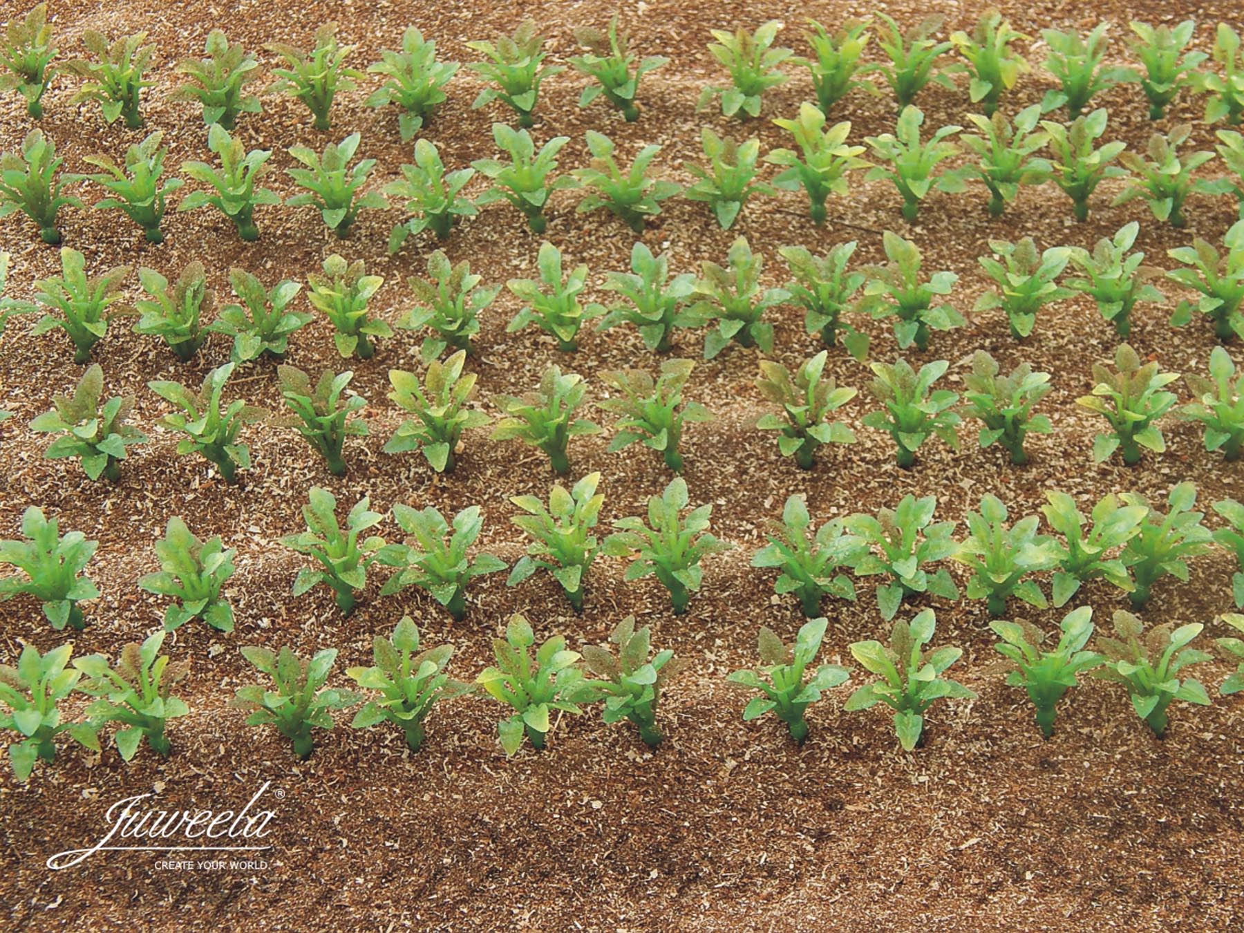 Zuckerrüben Pflanzen lose 50 Stück Modell von Juweela 1:32