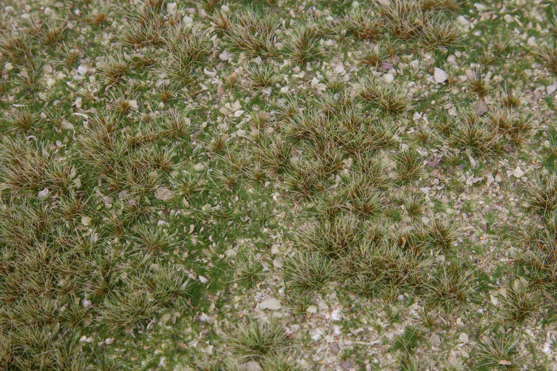 Wildkräuterwiese Modell von Gebr. Faller 1:87