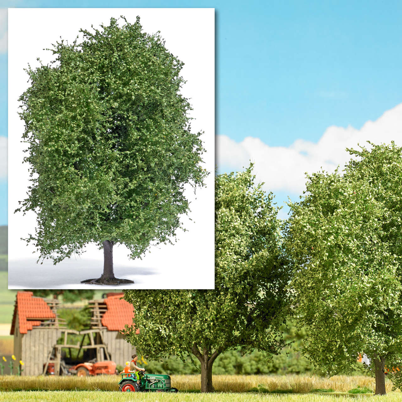 1 Buche 12,5 cm Sommer-1