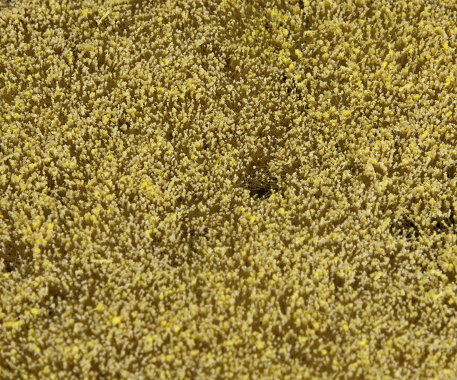 Getreidefeld Modell von Gebr. Faller 1:87