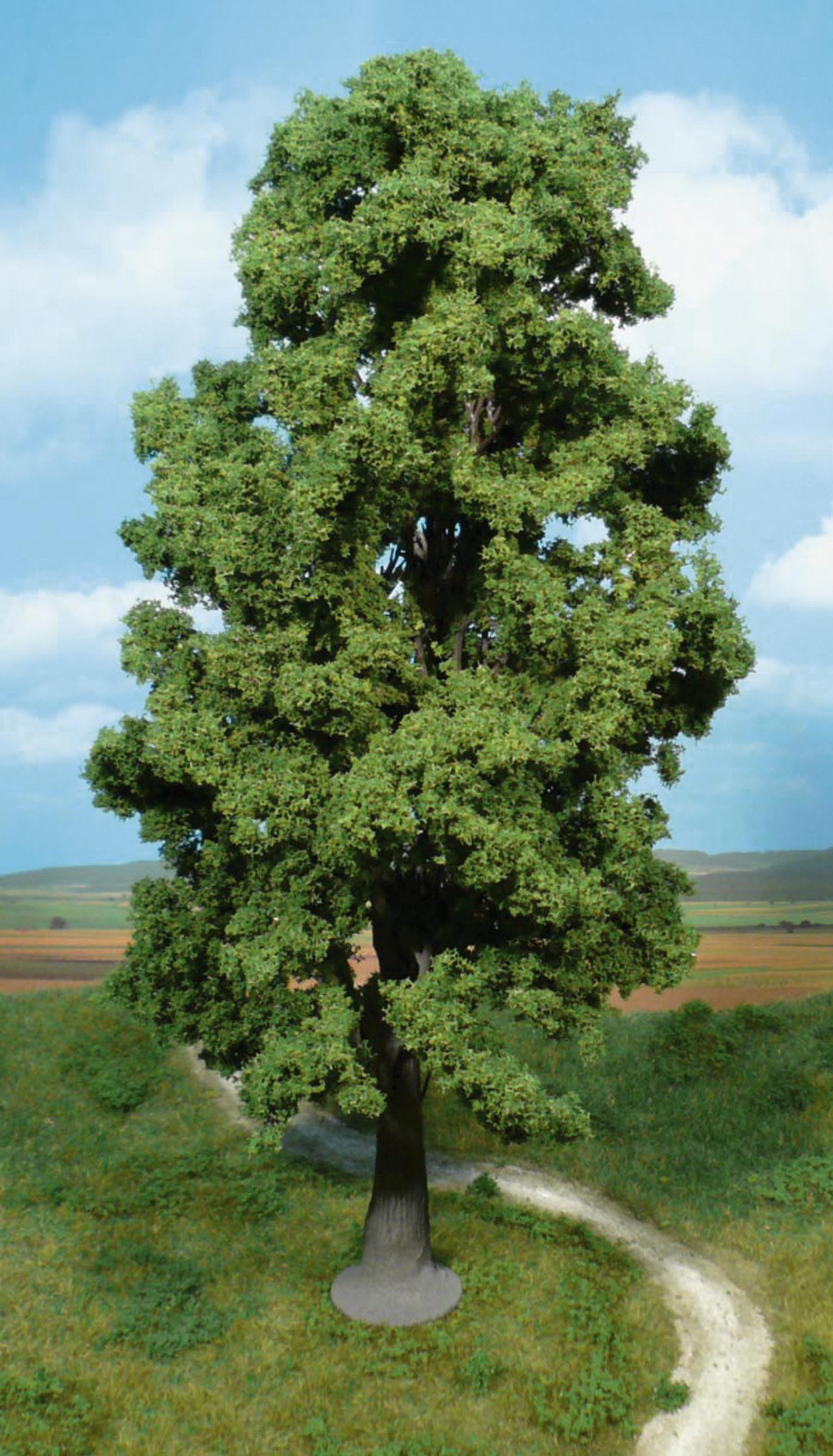 1 Bergahorn 35 cm Modell von HEKI 1:87