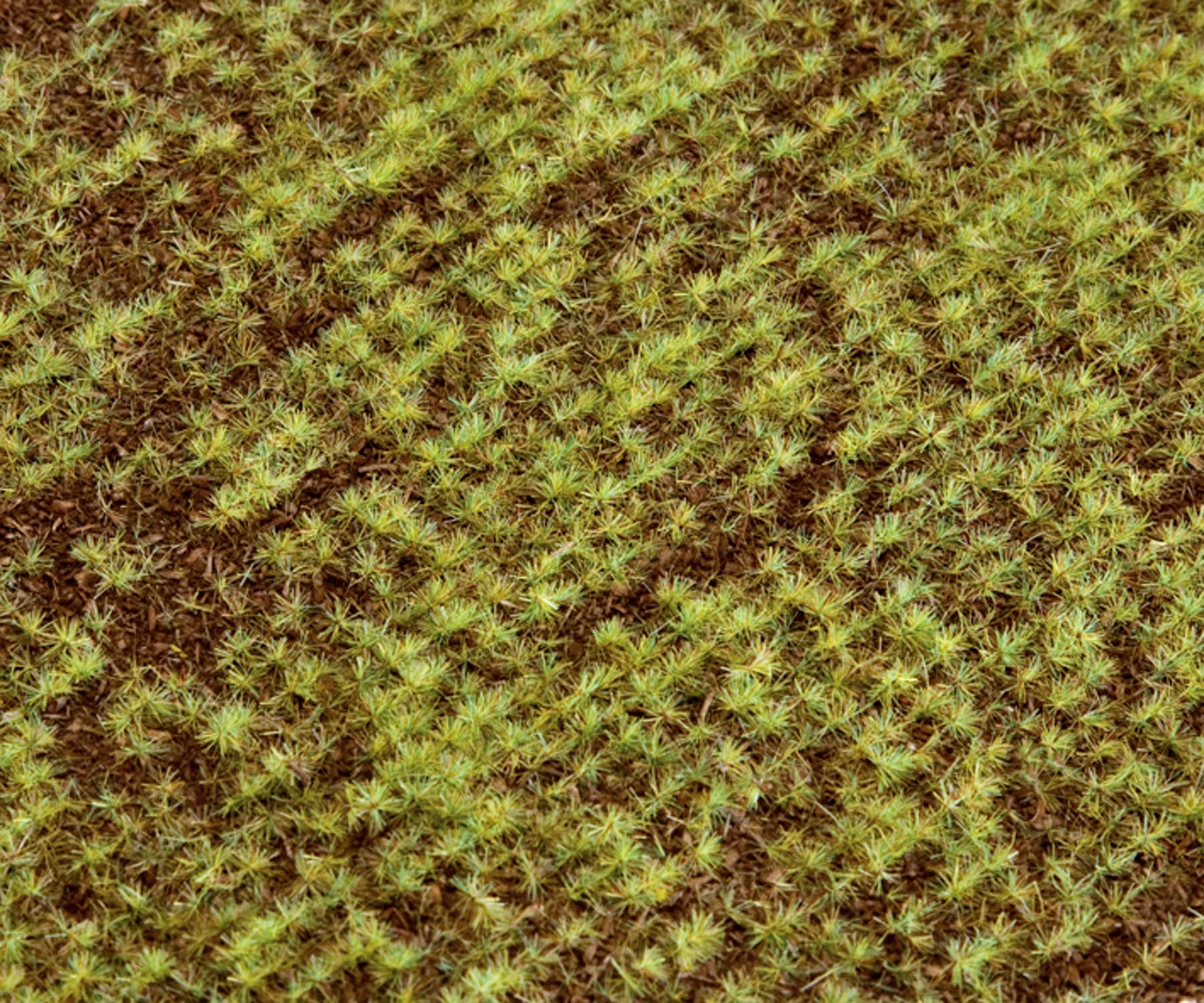 Acker (aufgehende Saat) Modell von Gebr. Faller 1:87