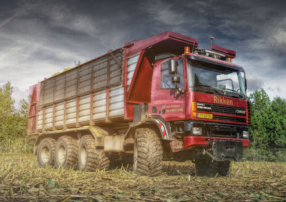 GINAF M4446-T Poster-1