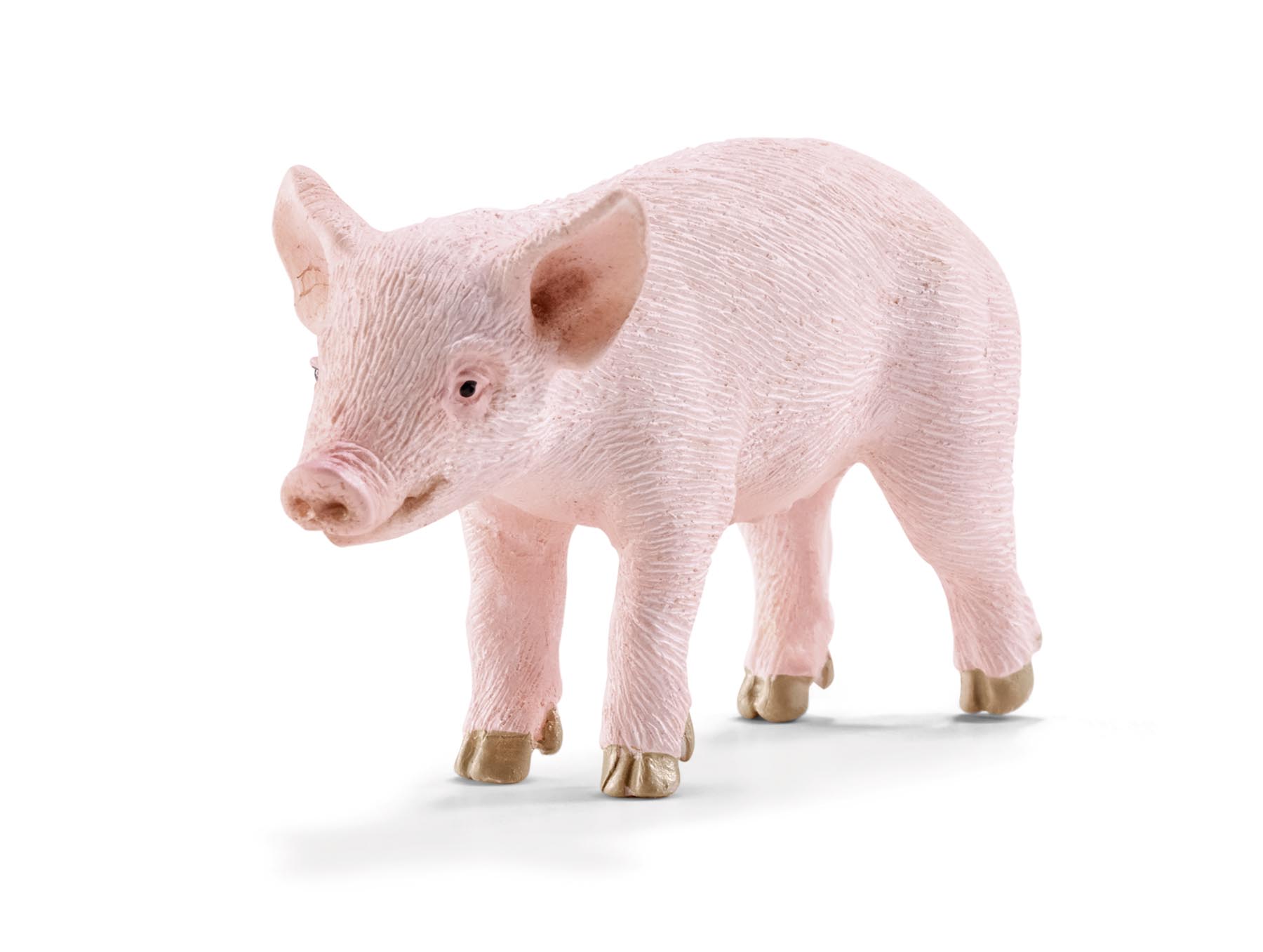 Ferkel Modell von Schleich