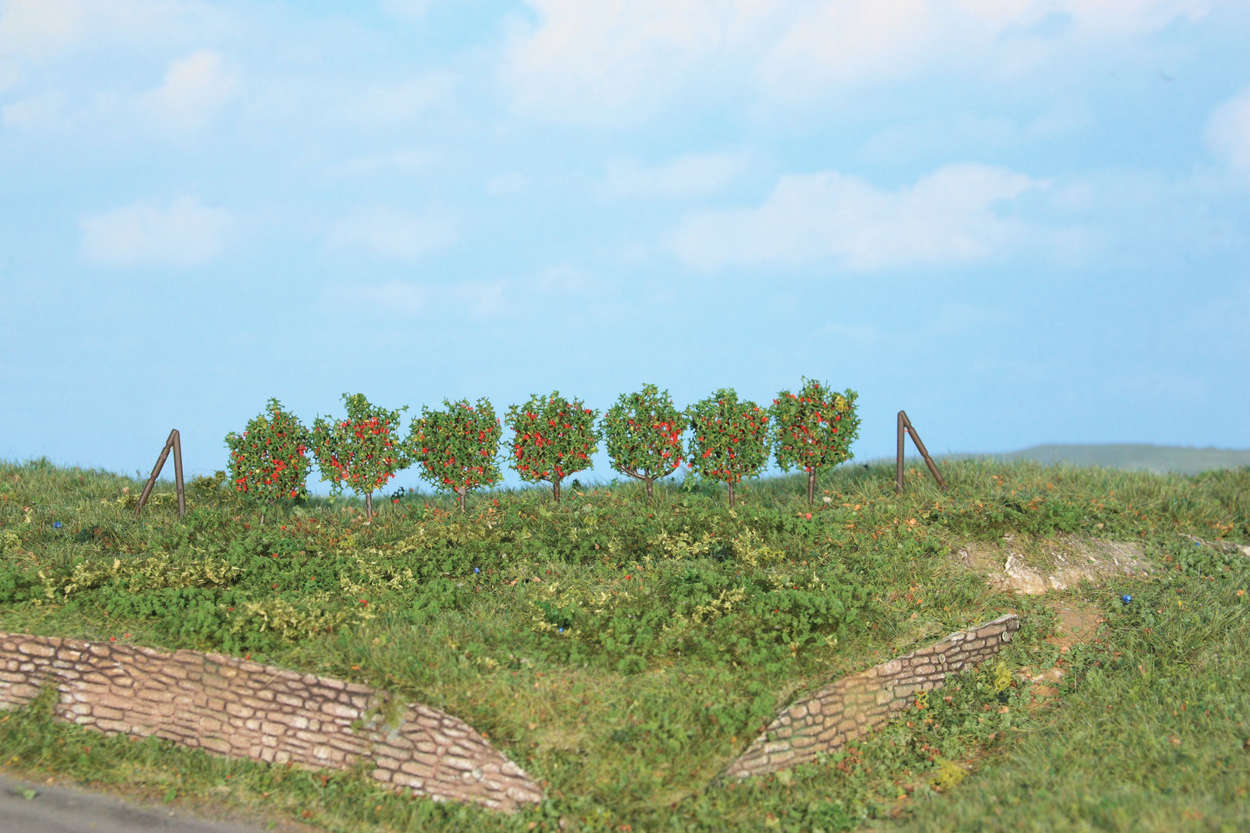 Spalierobst 36 Stück ca. 2,5 cm Modell von HEKI