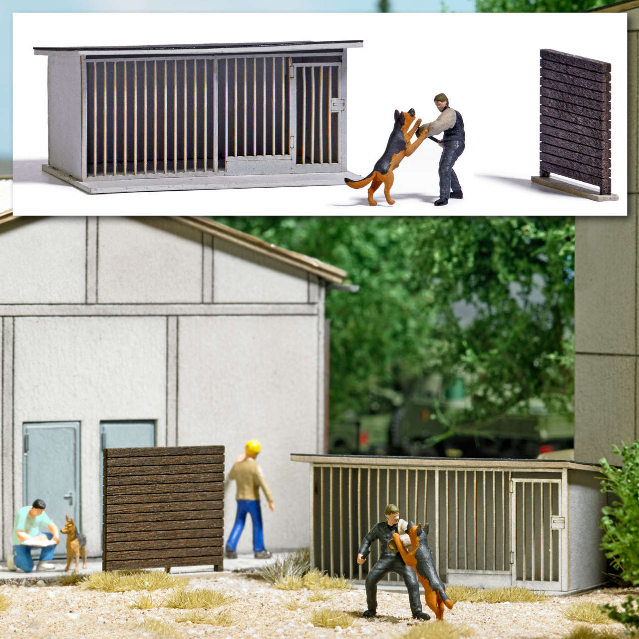 NVA Polizei Hundeausbildung-1