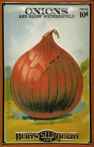 Blechschild „Onions“
