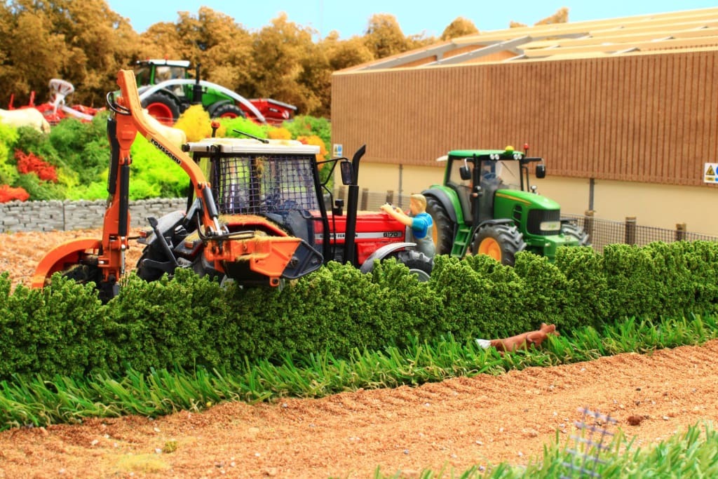 Hecken - ungeschnitten (2 Stück)-1