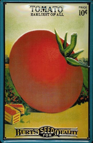 Blechschild „Tomato“