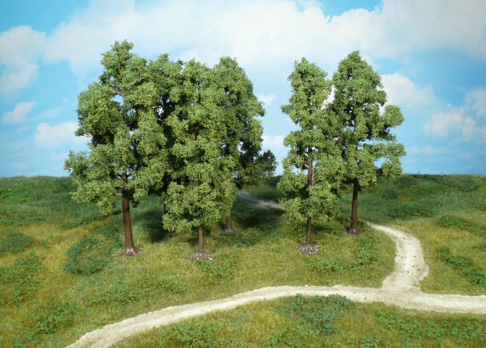 6 Buchen 18 cm  Modell von Heki