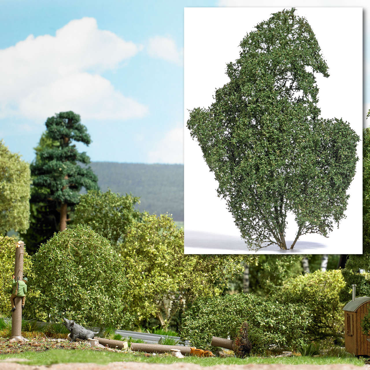 1 Filigranbusch Sommer-1