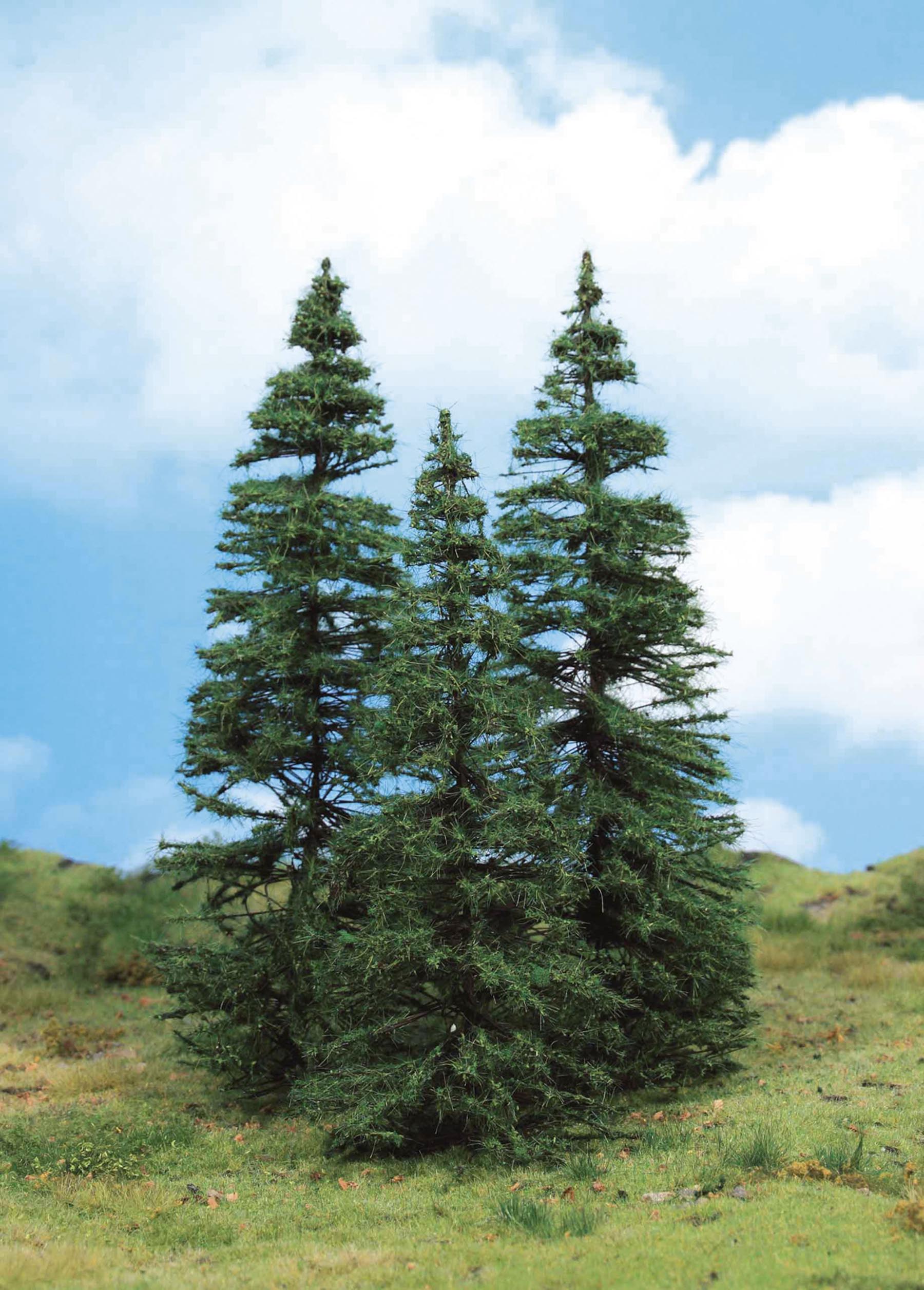 3 Tannen 18 - 24 cm von HEKI 1:87