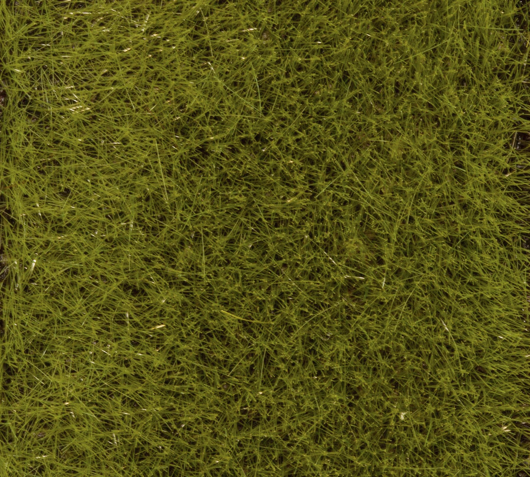 Streufaser Frühsommerwiese 30 g Modell von Gebr. Faller 1:87