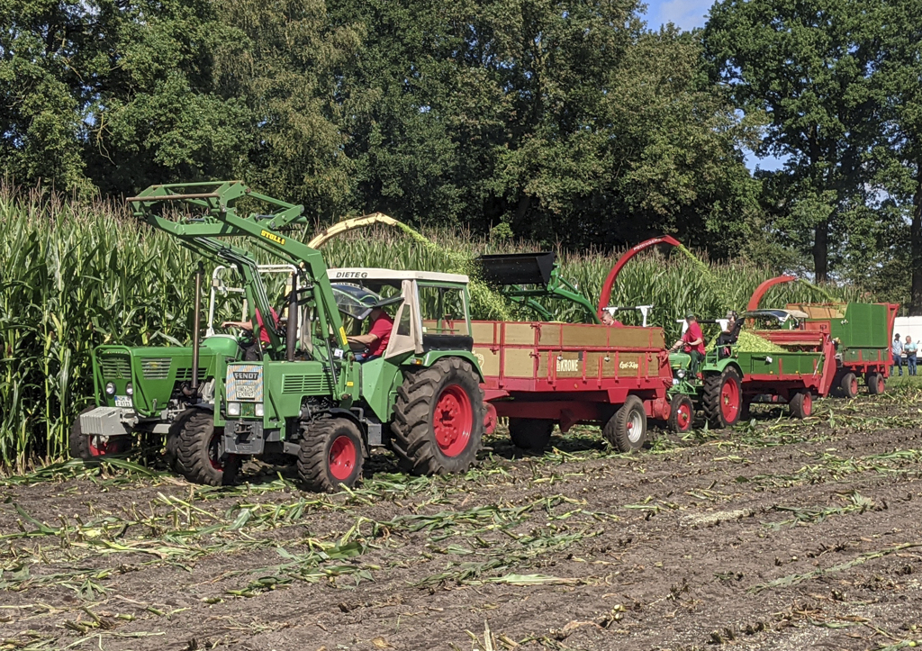 Poster Oldtimerhäckseln Historischer Feldtag Nordhorn-1