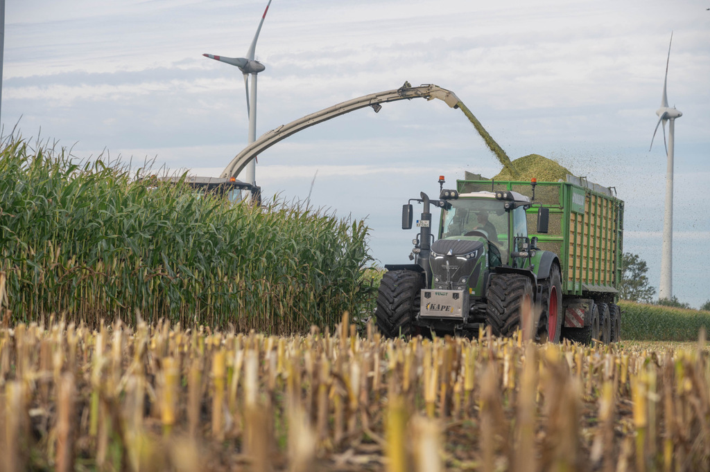 Poster Fendt 936 im Mais-1