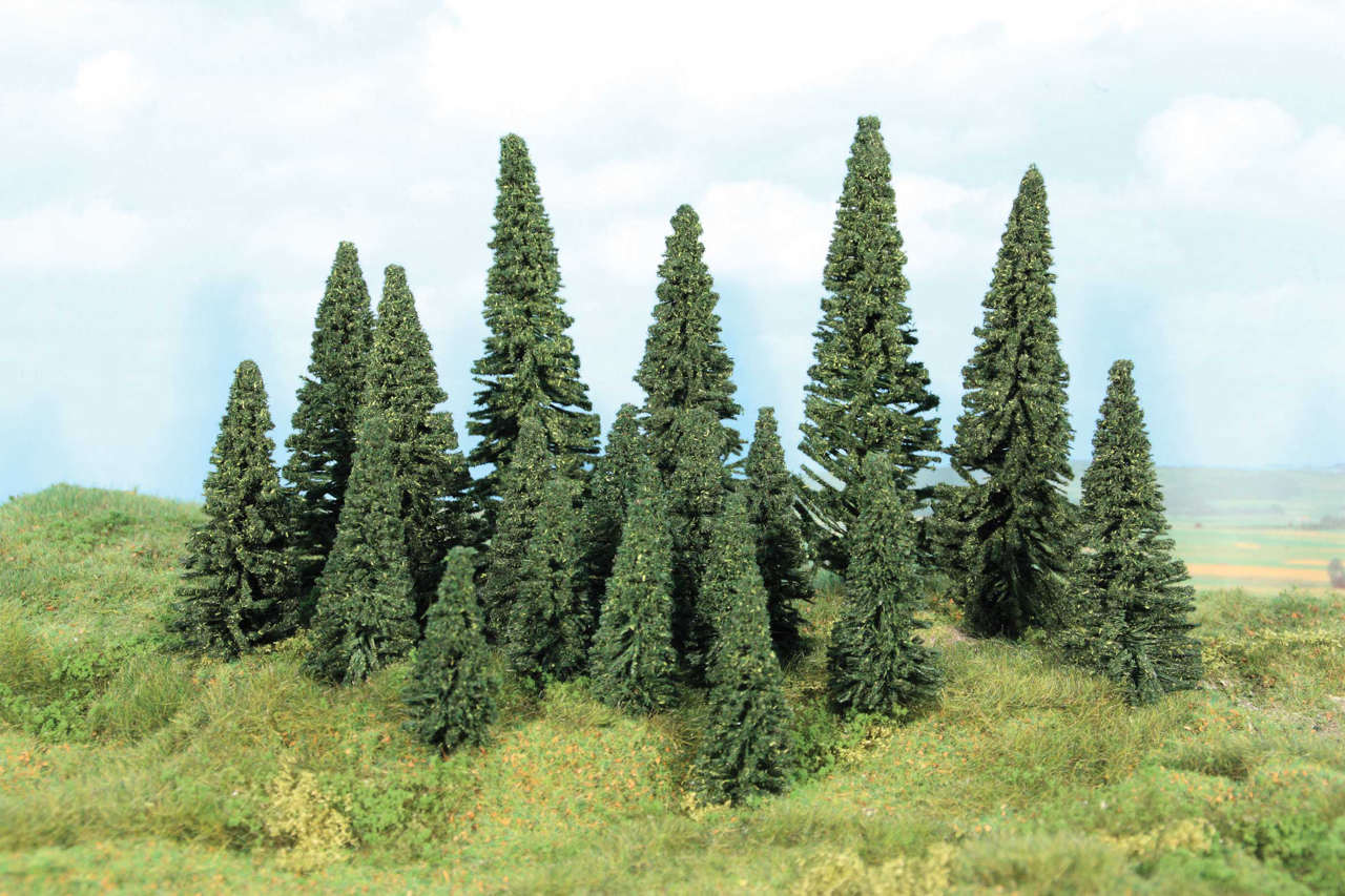 100 Stecktannen 5-14 cm-1