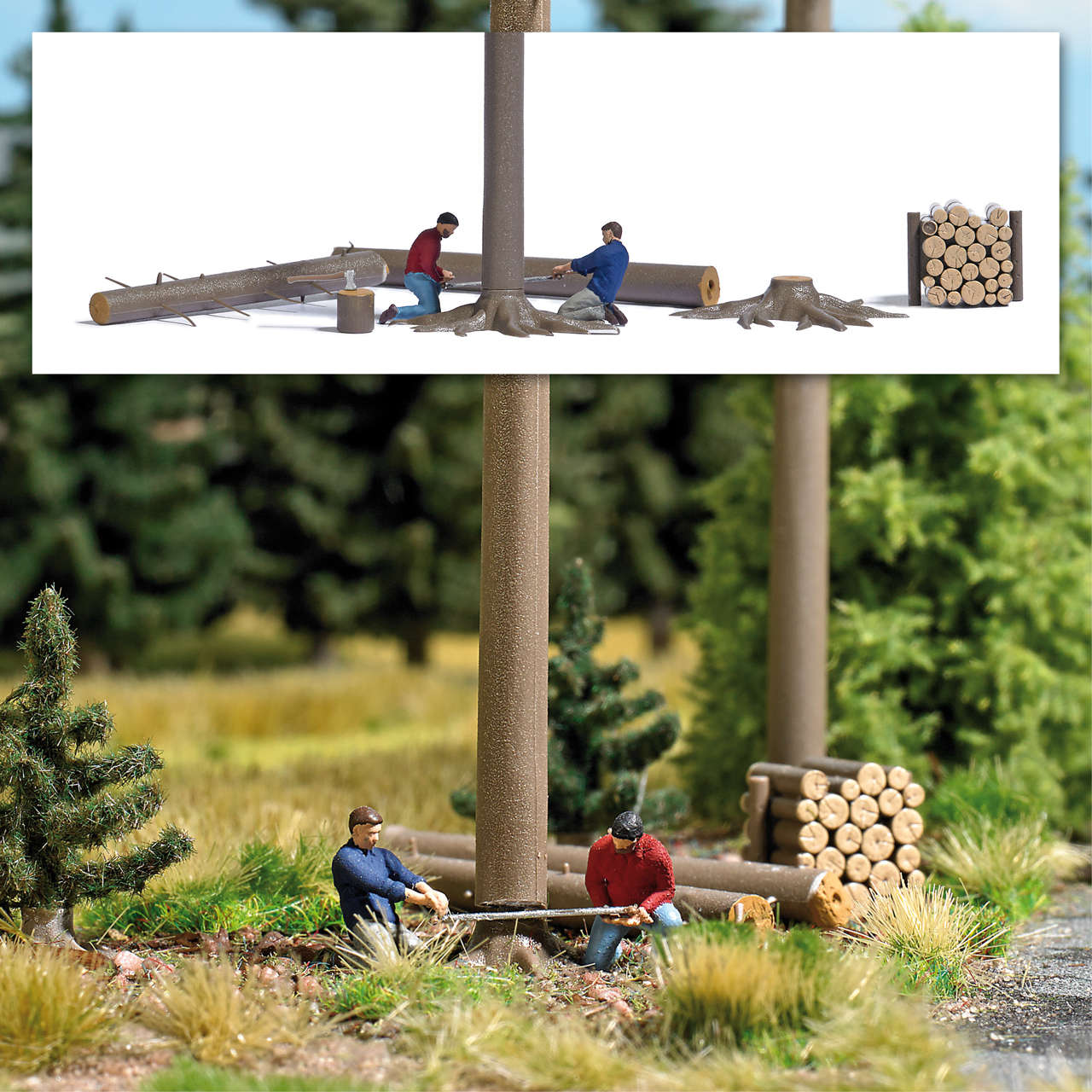 Baumfällung mit zwei Holzfällern-1