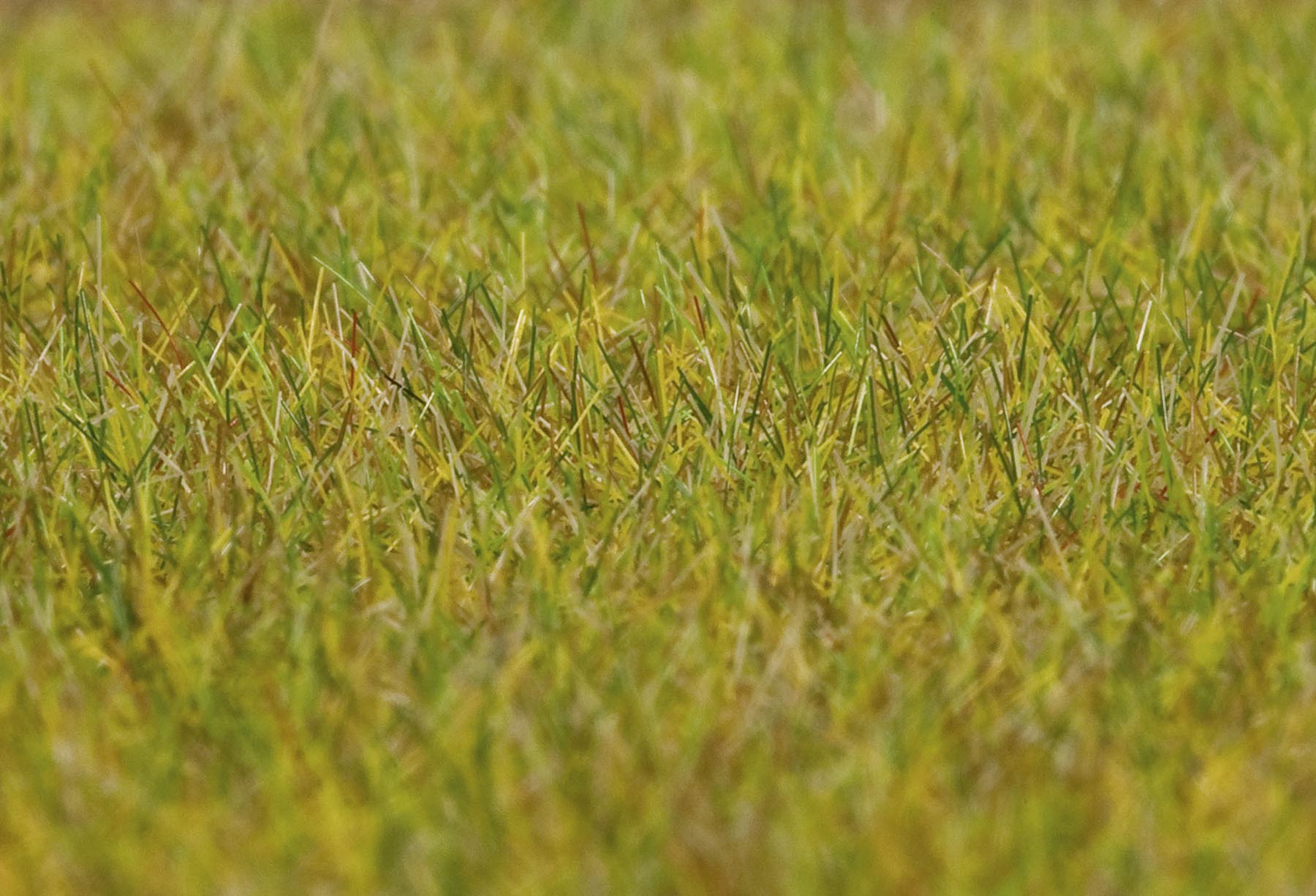 Streufaser Wiese lang, hellgrün 30 g Modell von Gebr. Faller 1:87