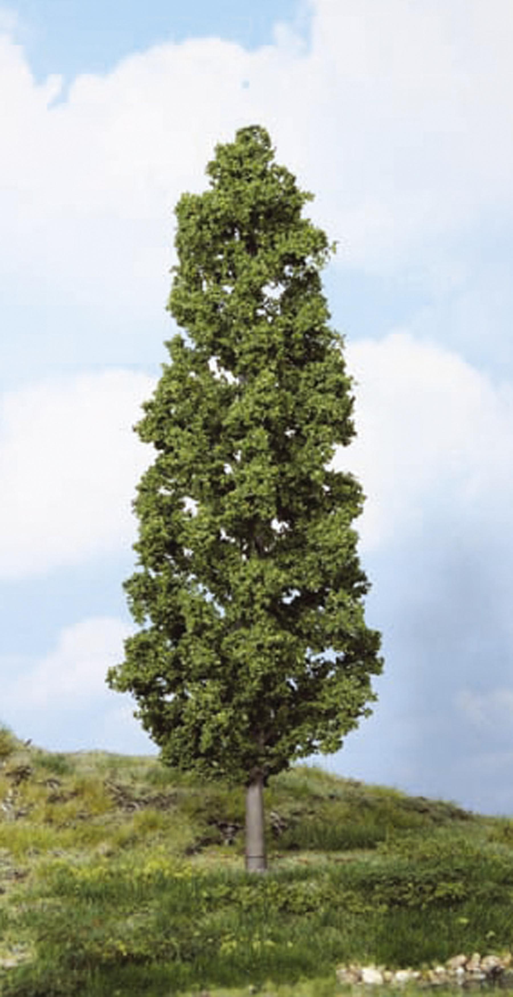 1 Buche 27 cm von HEKI 1:87