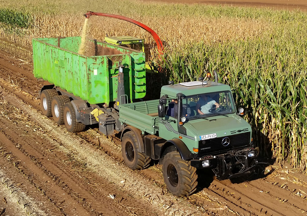 Poster Unimog U 2100 Maisernte-1
