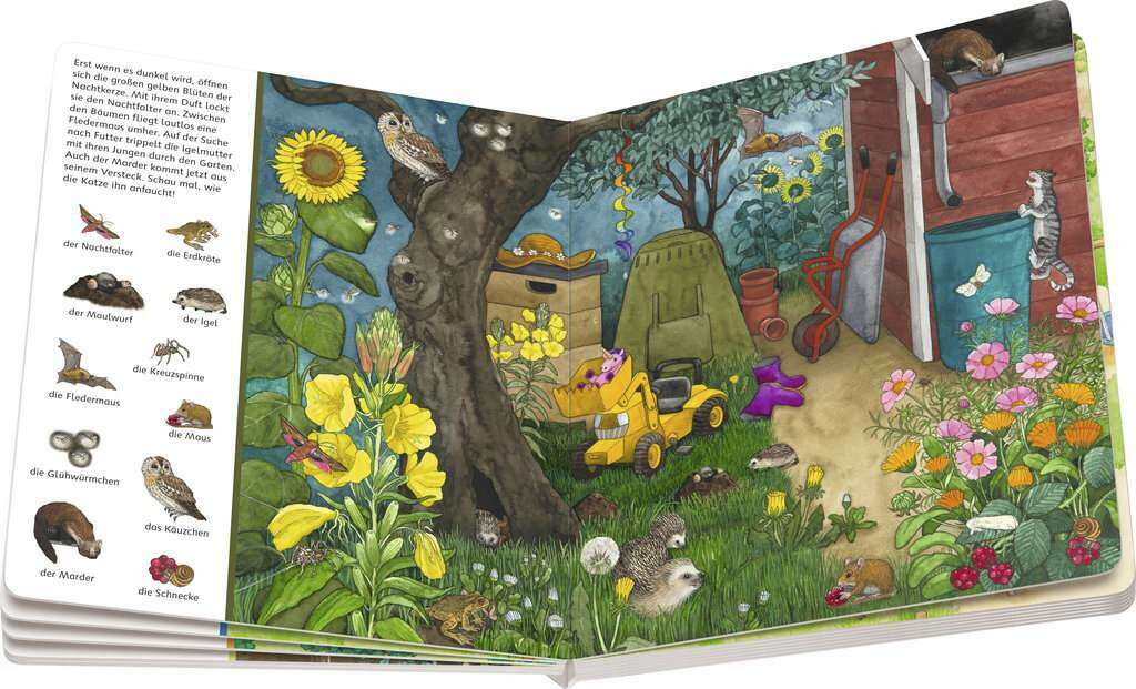 Mein großes Sachen suchen: Bei uns im Garten