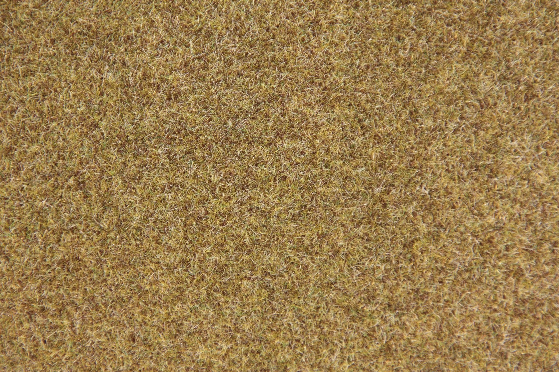 Waldgrund Grasfaser 2-3 mm 50g Modell von Heki 1:87