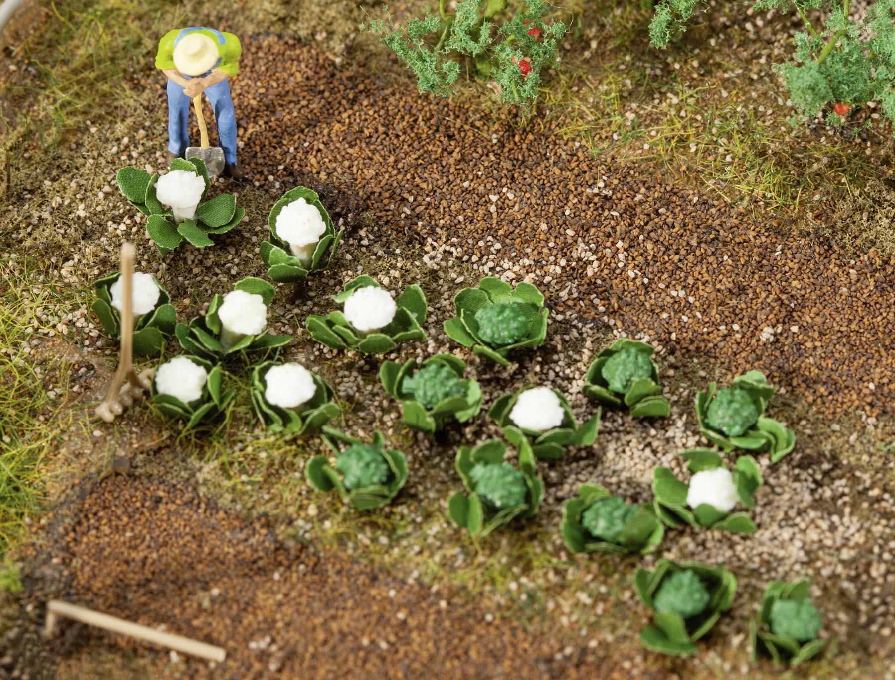 10 Grün- und 10 Blumenkohlköpfe Modell von Gebr. Faller 1:87