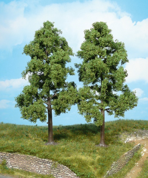 2 Buchen 18 cm Modell von Heki