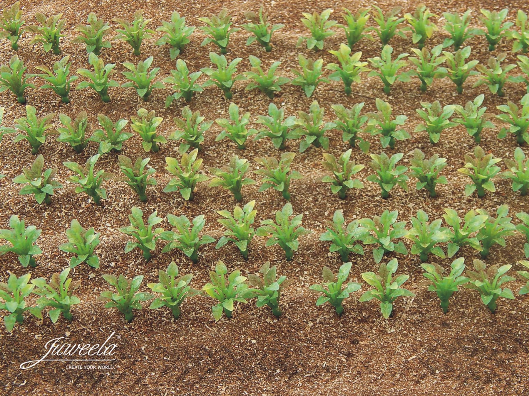 Zuckerrüben Pflanzen lose 25 Stück Modell von Juweela 1:32