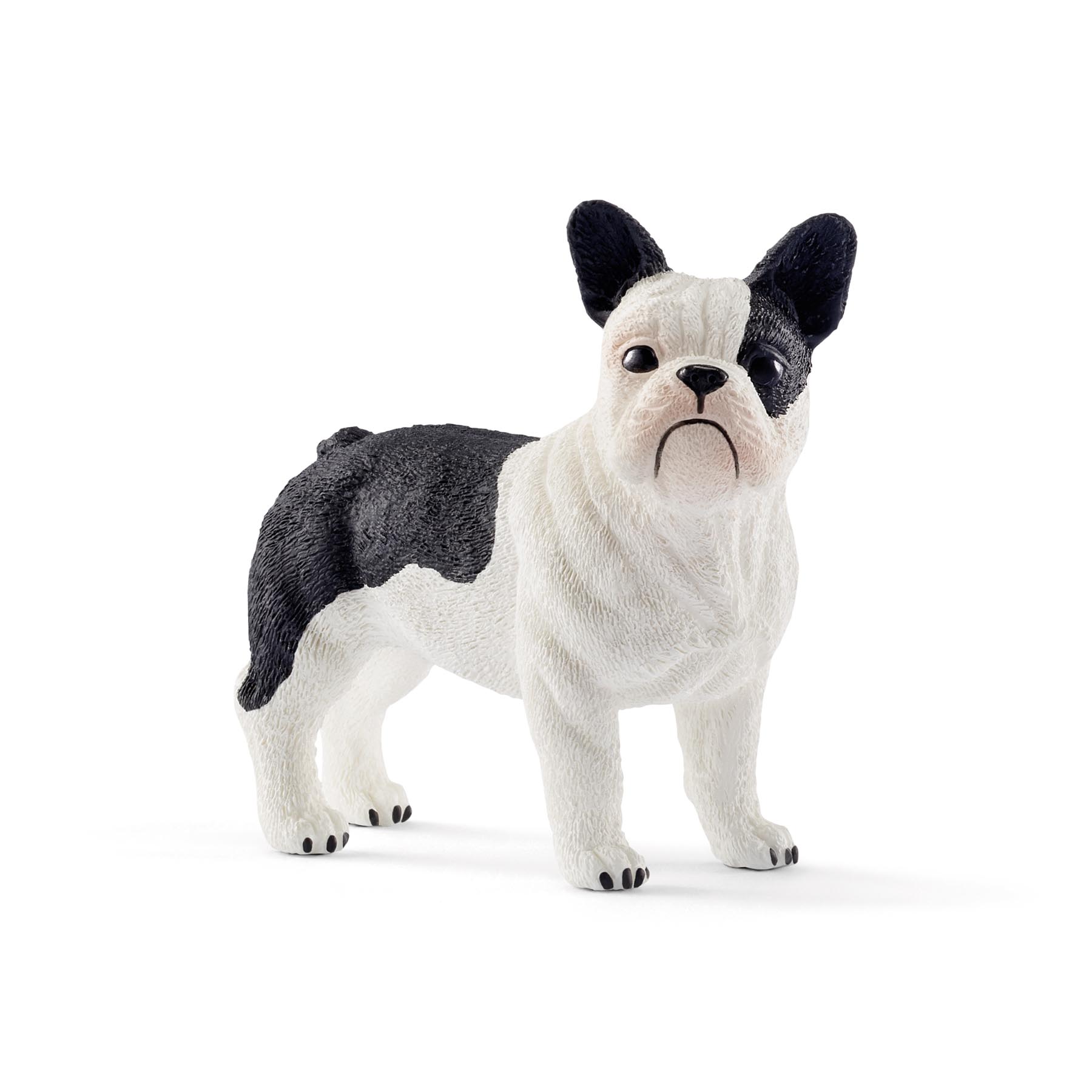 Französische Bulldogge Modell von Schleich