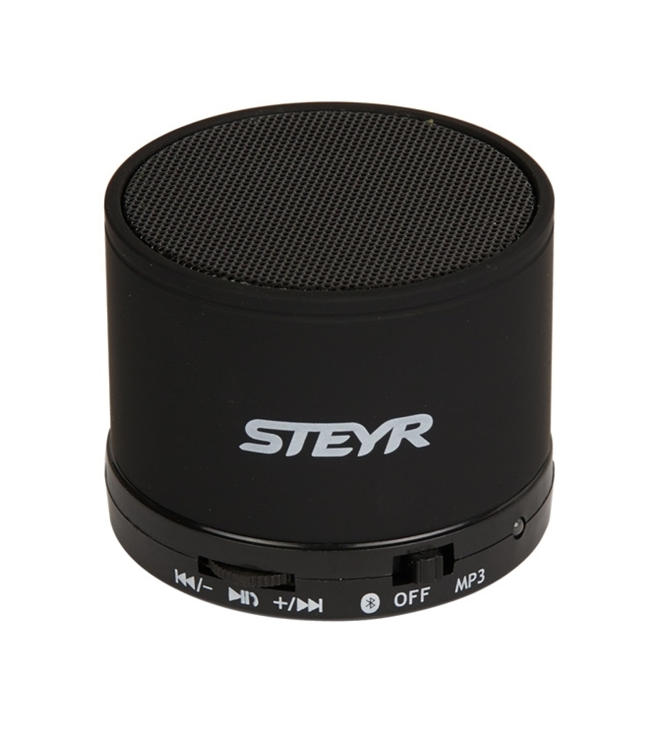 Steyr Lautsprecher-1