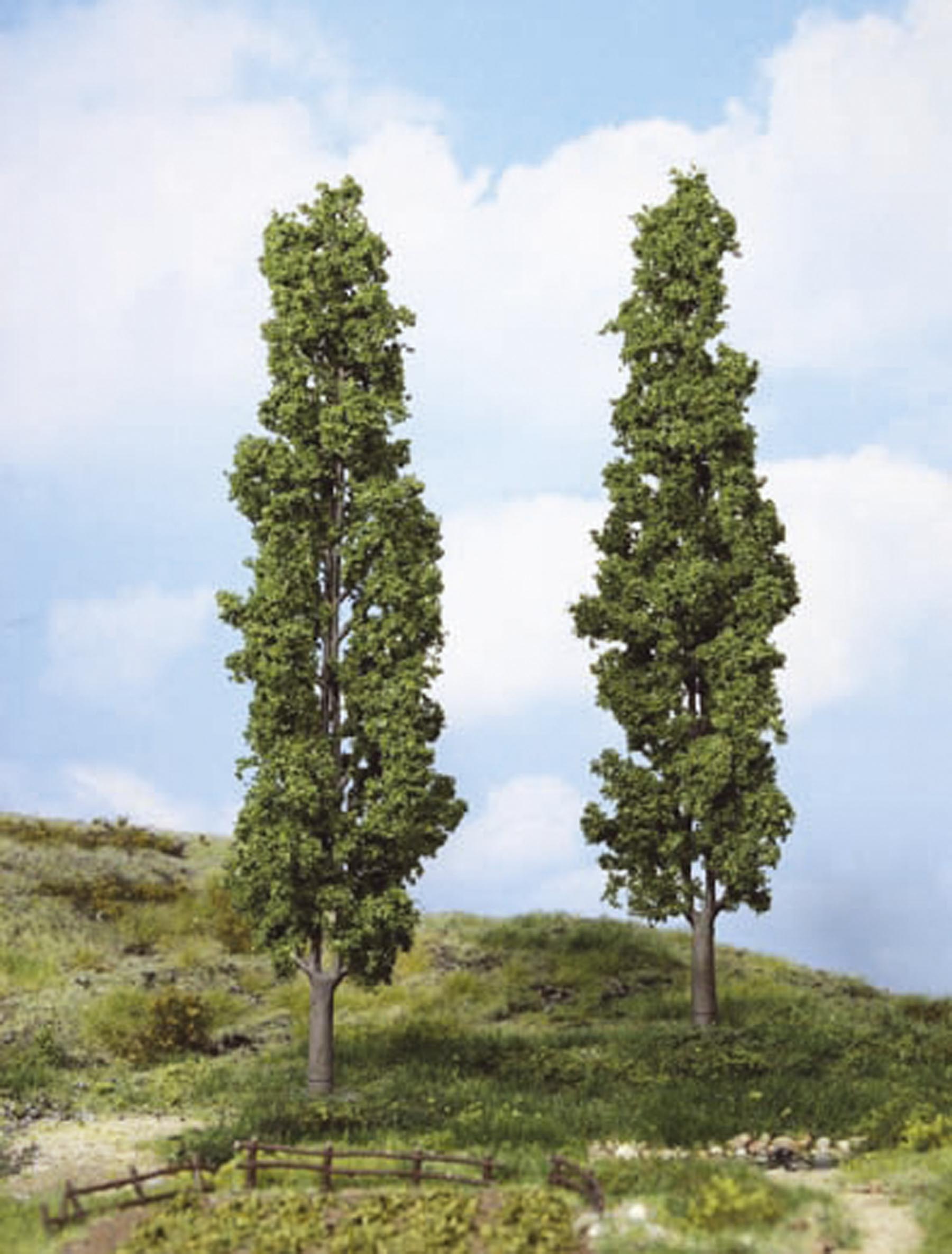 2 Pappeln 27 cm Modell von HEKI 1:87