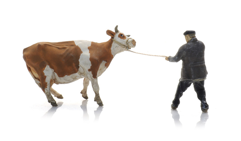 Bauer mit sturer Kuh-1