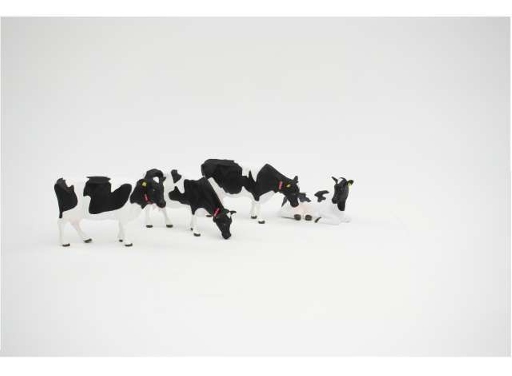 Holstein-Rinder, 4 Friesische Rinder mit Ohrlabel und Transponder  Modell von AT Collections 1:32