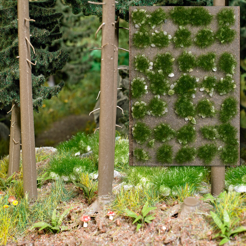 Grasbüschel mit Steinen Sommer-1