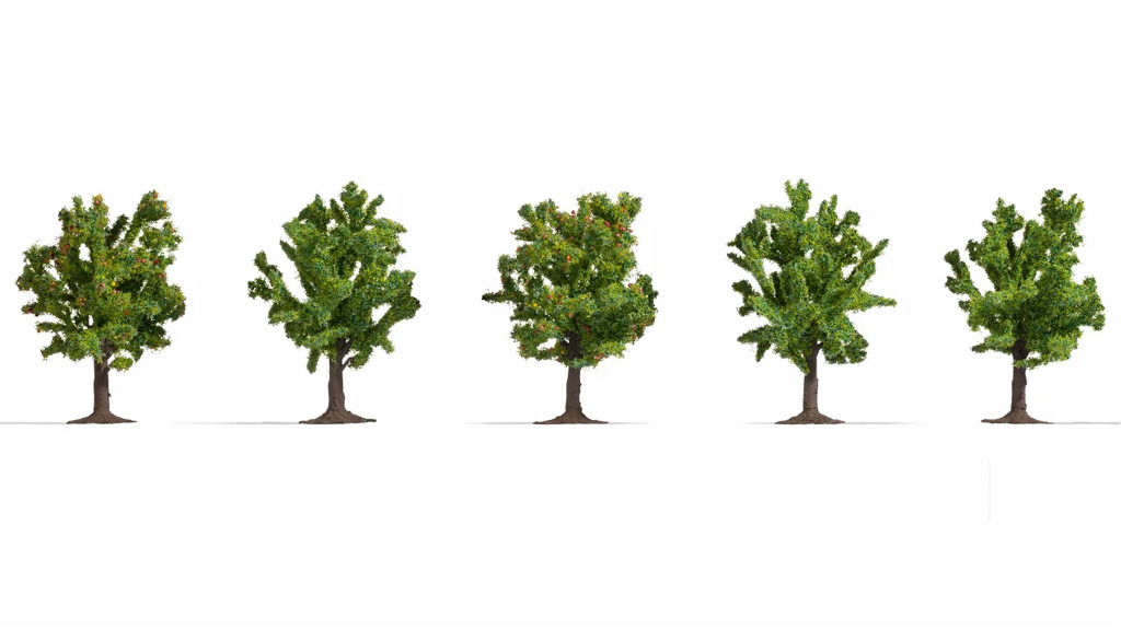 Obstbäume 5 Stück-1