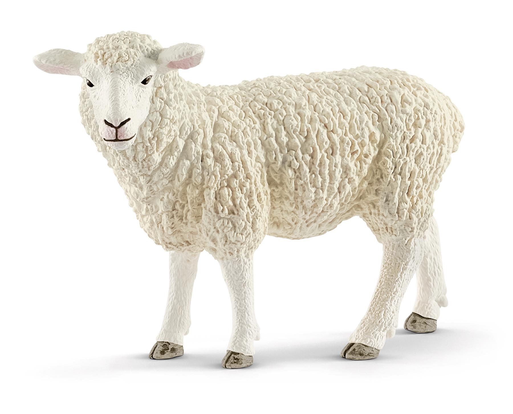 Schaf Modell von Schleich