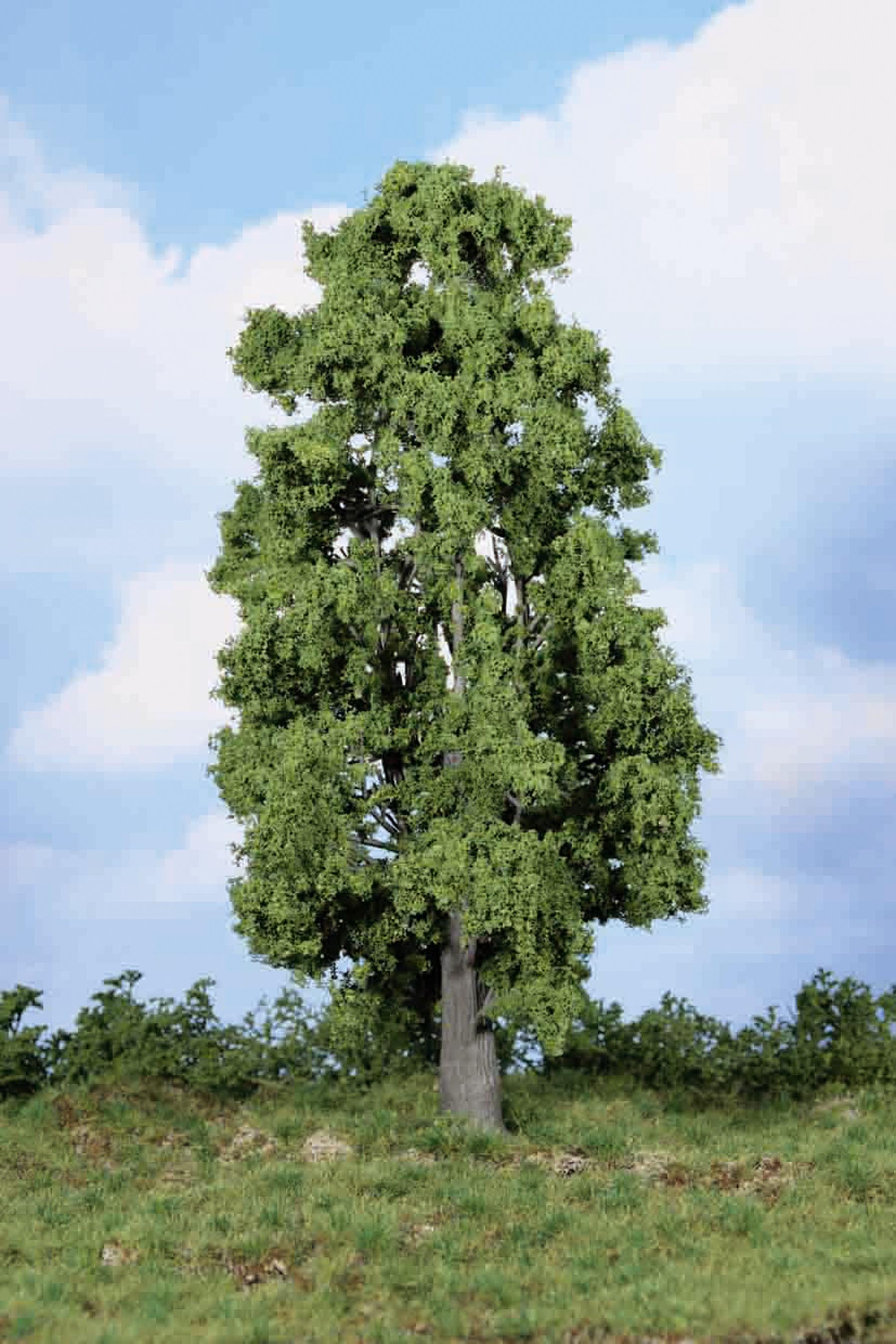 1 Kastanie 30 cm von HEKI 1:45