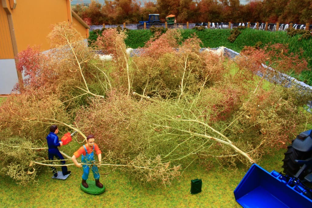 Meerschaumbäume ohne Blattlaub-1