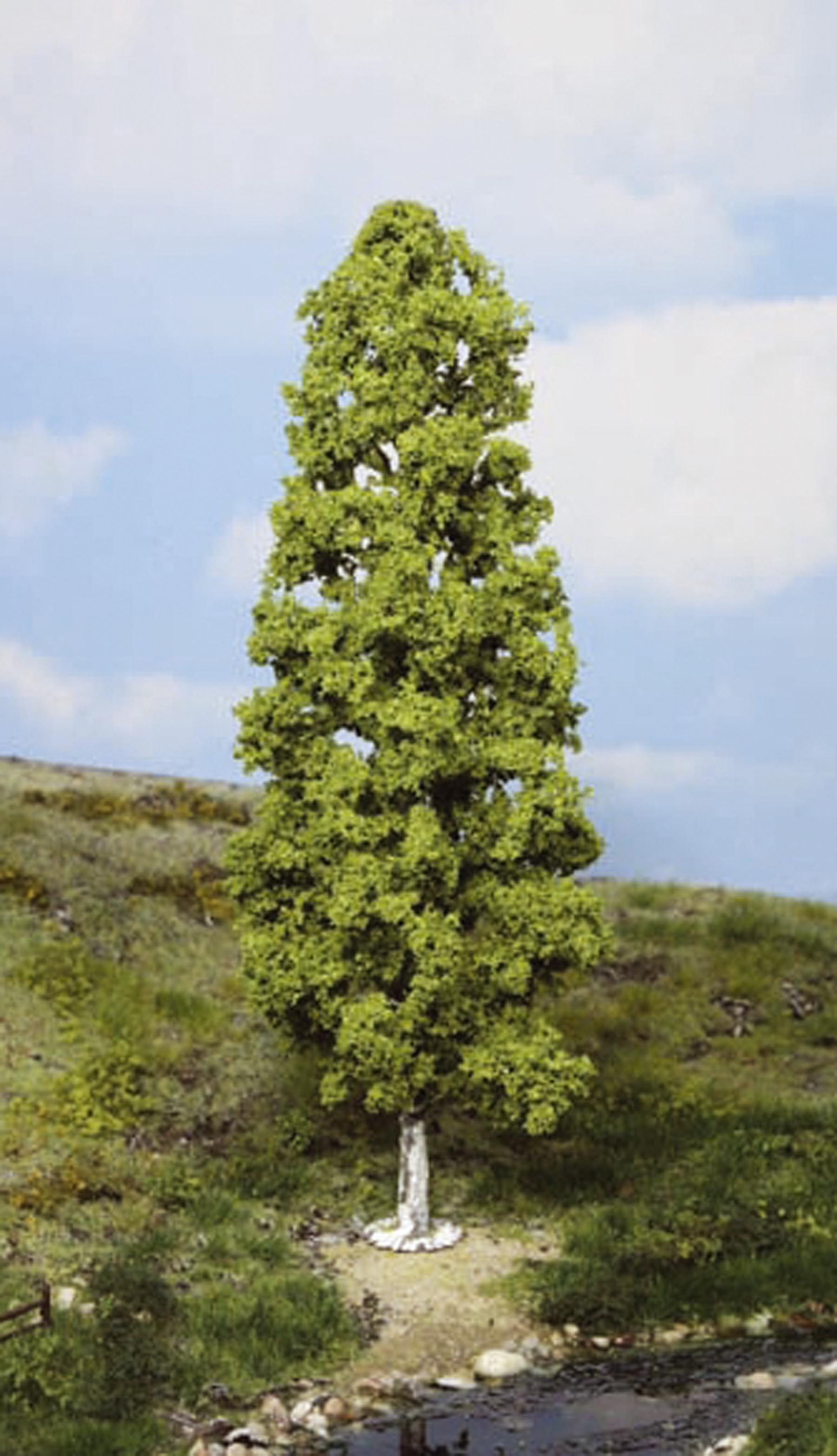 1 Birke 27 cm Modell von HEKI 1:87