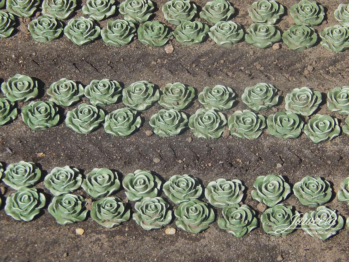 Kopfsalat Pflanzen 98 Stück-1