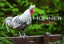 Hühner Monatskalender 2026