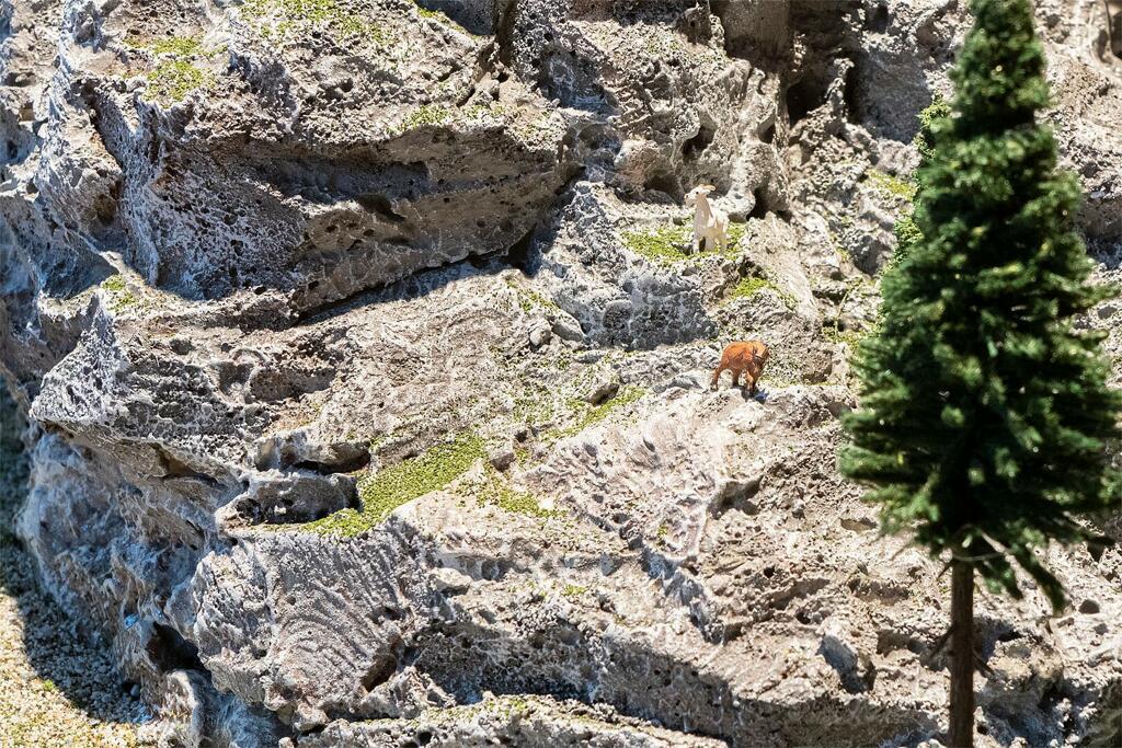 Fels- und Geländeschaum