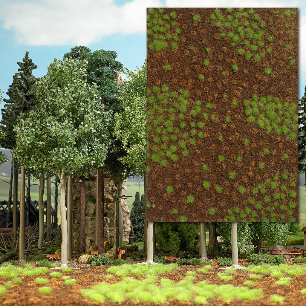 Sommerlicher Waldboden-1